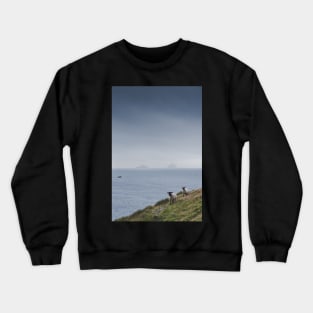 Sheep and Skelligs Crewneck Sweatshirt